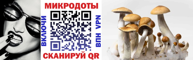 Купить закладки  Бодайбо  Галлюциногенные грибы Cubensis 